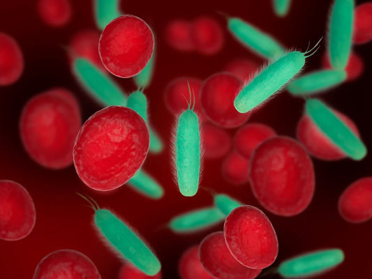 Can Red Light Help Gut Bacteria?